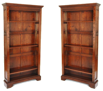 Book and DVD Shelves