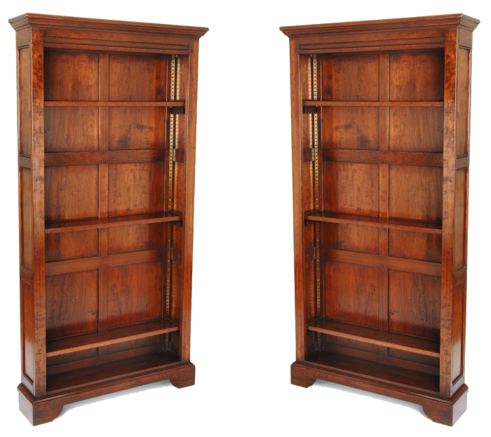 Book and DVD Shelves